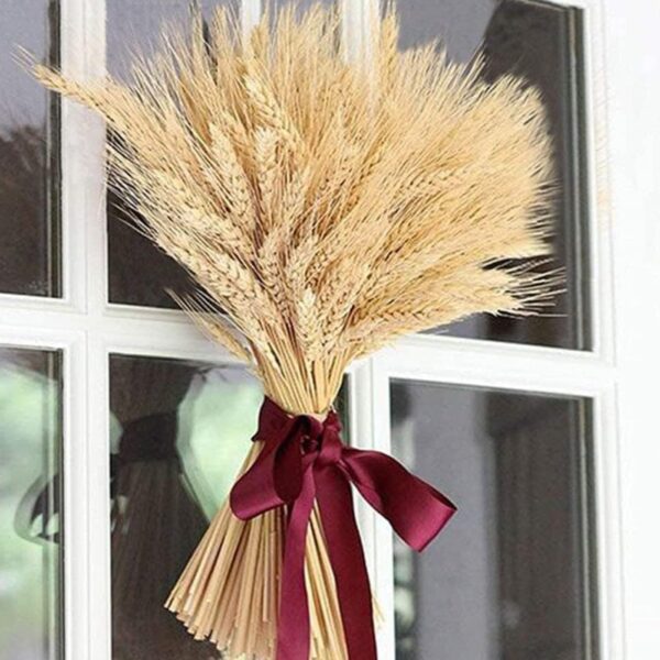 TIED RIBBONS Set of 50 Pcs Natural Dried Wheat Grasses Bundle Boho Bouquet Artificial Flowers Pampas Grass Decor for Table Vase Home Decoration (20 inch Length) - Image 4