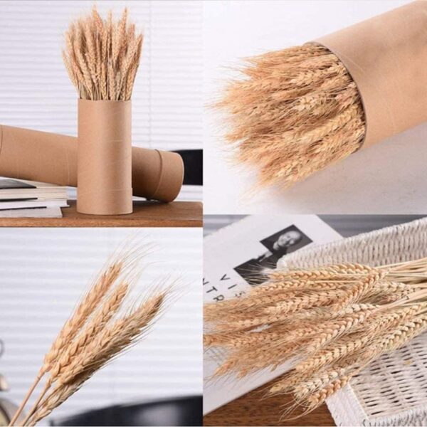 TIED RIBBONS Set of 50 Pcs Natural Dried Wheat Grasses Bundle Boho Bouquet Artificial Flowers Pampas Grass Decor for Table Vase Home Decoration (20 inch Length) - Image 3